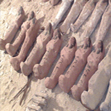 Shaft No. 7 - Wadj-mes Tomb