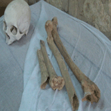 Neb-Nefer Tomb