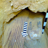 Shaft No. 7 - Wadj-mes Tomb