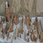 A new discovered tomb "Paser"